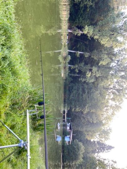 Teichanlage Heilsbach (Braunfels)-1