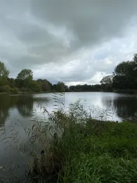 Kattenstieg (Burger Auhafen)-2