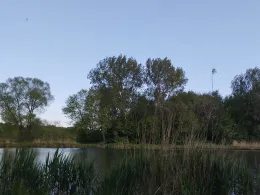 Kattenstieg (Burger Auhafen)-3