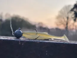 Lutter (Harsewinkel)