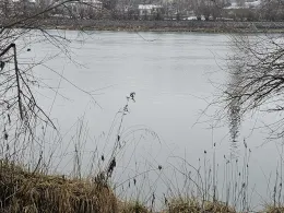 Inn (Neuhaus am Inn)-1