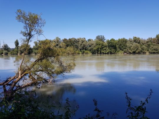 Inn (Simbach am Inn)-3