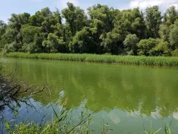 Inn (Simbach am Inn)-1