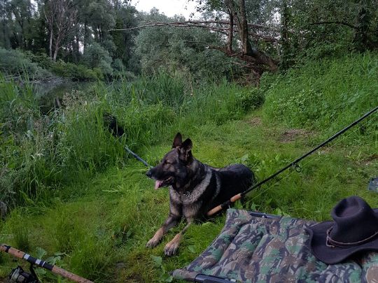 Inn (Simbach am Inn)-2