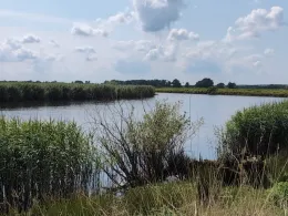 Stör (Wittenbergen)-1