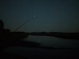 Stör (Wittenbergen)