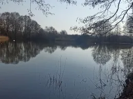 Torfteiche Sülstorf-1