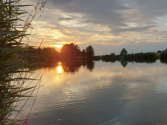 Bischdorfer Teiche ALLE ANGELN
