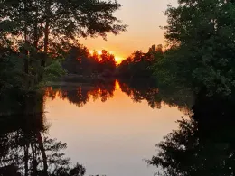 Kiesgrube Steinfels-3