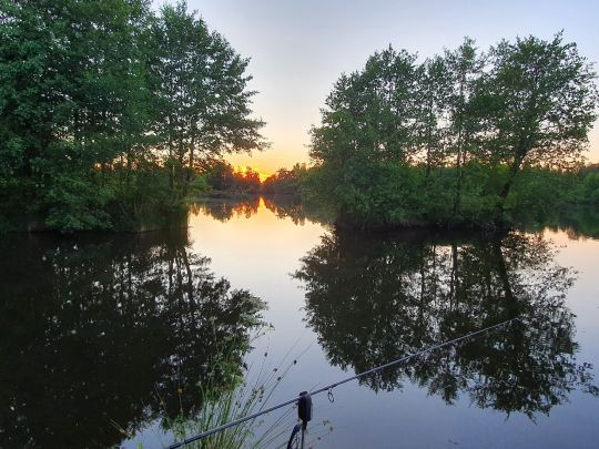 Kiesgrube Steinfels-4