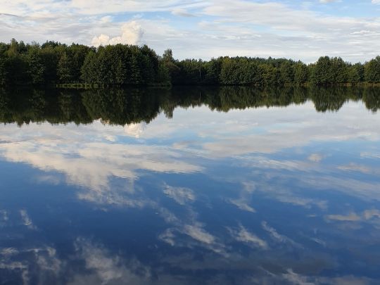 Kiesgrube Steinfels-2