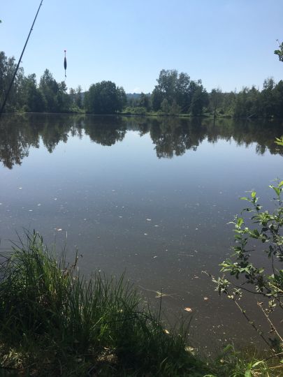 Nill-See (Pfrunger Ried)-4