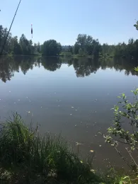 Nill-See (Pfrunger Ried)-4