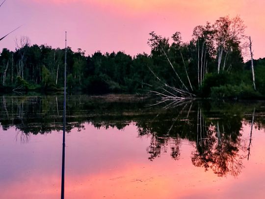 Nill-See (Pfrunger Ried)-1