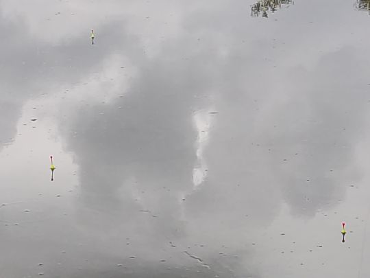 Nill-See (Pfrunger Ried)-3