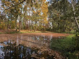 Lehmkeite (Uthausen)-2