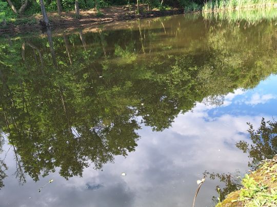 Rückhaltebecken Irxleben-3