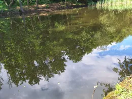 Rückhaltebecken Irxleben-3