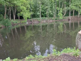 Rückhaltebecken Irxleben-2