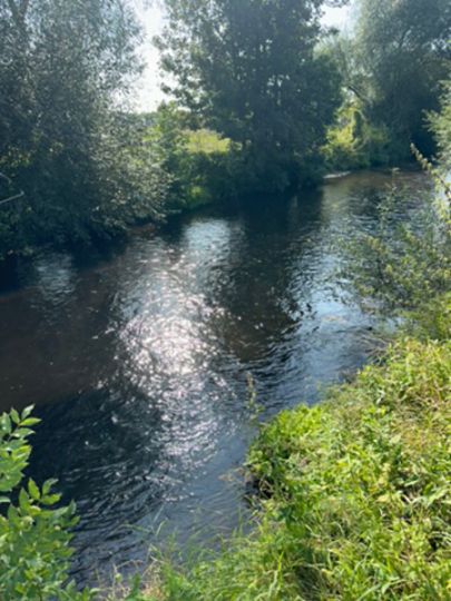 Oker (Börßum)