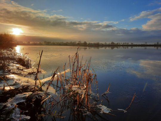 Polder am Augustfehn-Kanal-4