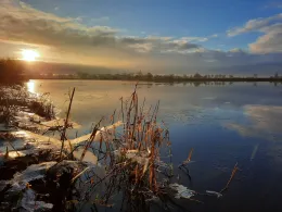 Polder am Augustfehn-Kanal-4