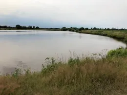 Polder am Augustfehn-Kanal-2
