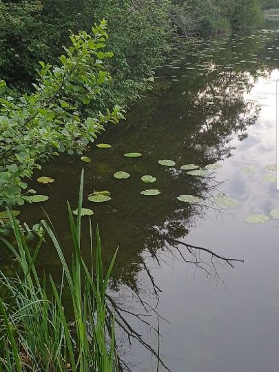 Slater Moor (Parchim)-1