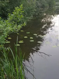 Slater Moor (Parchim)-1