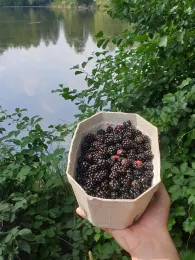 Slater Moor (Parchim)