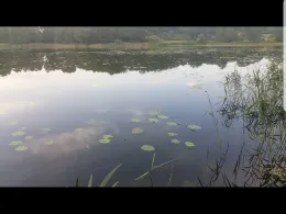 Slater Moor (Parchim)-2