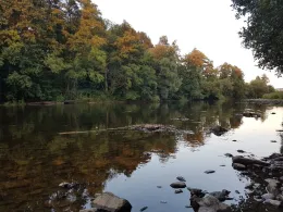 Zschopau (Niederwiesa)-1