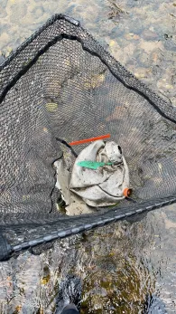 Zschopau (Niederwiesa)