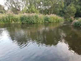 Zschopau (Niederwiesa)-2