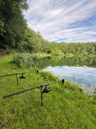 Karpfenteich Tegelen-3