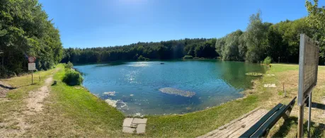 Karpfenteich Tegelen