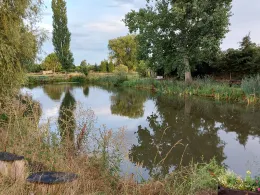 Tiefer Kolk (Selbitz)