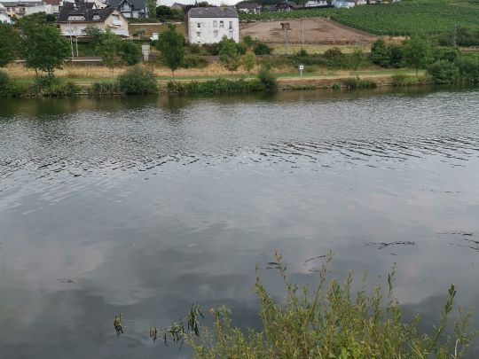 Mosel (Remich-Nennig)-3