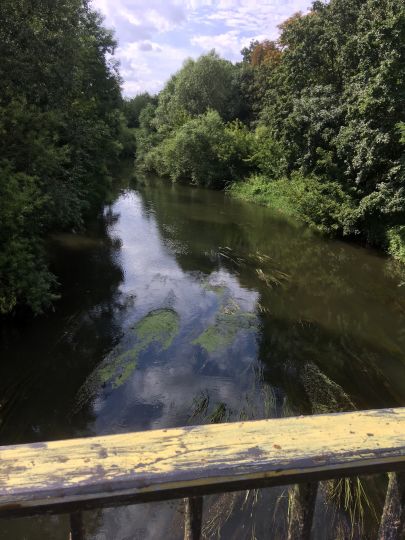 Bode (Etgersleben)-3