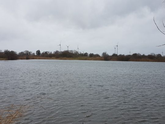 Tonkuhle gegenüber Bollen-1
