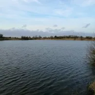 Tonkuhle gegenüber Bollen