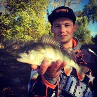 Main (Stockstadt am Main)