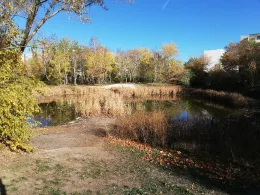Teich an der Gellertstraße-1