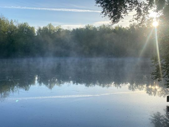 Karauschenweiher (Erftstadt)-2