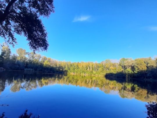 Karauschenweiher (Erftstadt)-3