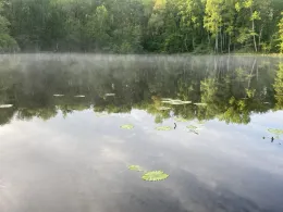 Karauschenweiher (Erftstadt)-4