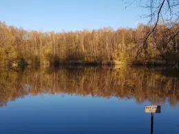 Karauschenweiher (Erftstadt)-1