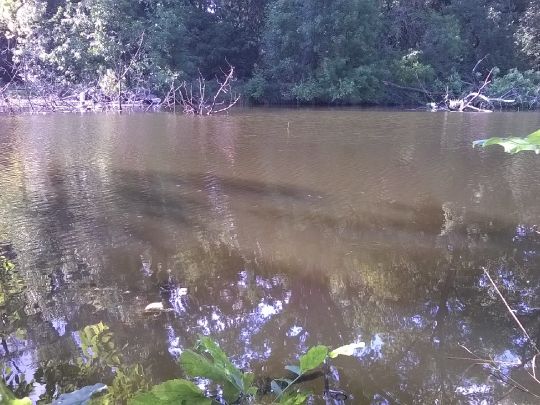 Bucher Teiche (Berlin)-2