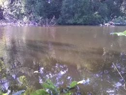 Bucher Teiche (Berlin)-2