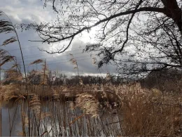 Bucher Teiche (Berlin)-3